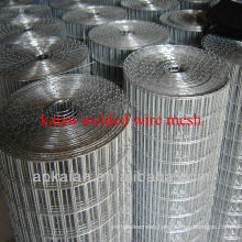 hebei anping kaian 1x1 welded wire mesh